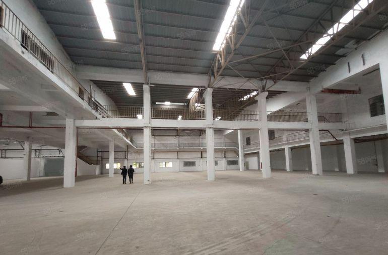 沙田镇单一层钢构厂房 空地大 可停飞机 适合仓库 物流 机械