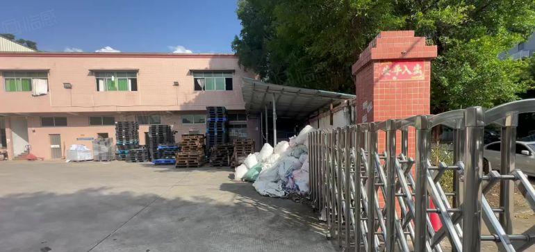 沙田原房东10米高单一层独院厂房出租，仓库出租，带牛角