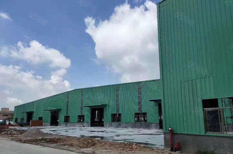 东莞沙田镇全新滴水9米带牛角钢构厂房出租