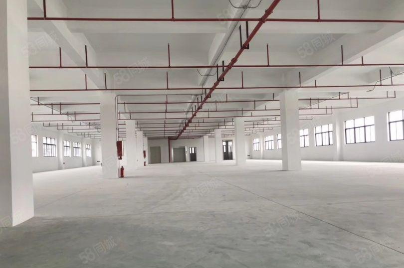 沙田镇独院花园式厂房出租1160平可按客户要求随意分割。