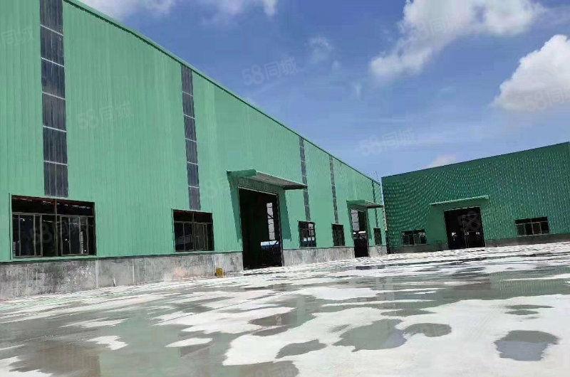 东莞沙田镇全新滴水9米带牛角钢构厂房出租