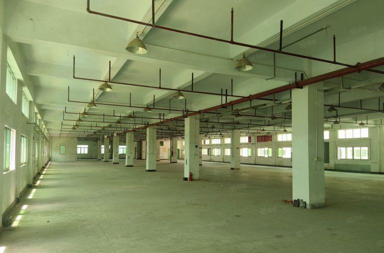 东莞沙田厂房出租标准工业园区精装修原房东实际面积出租