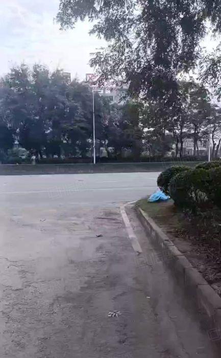 原房东独院单一层钢构，空地大免费使用，大小车随意进出，形象好