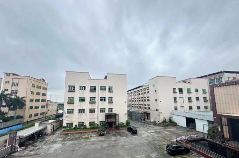 东莞沙田厂房出租标准工业园区精装修原房东实际面积出租