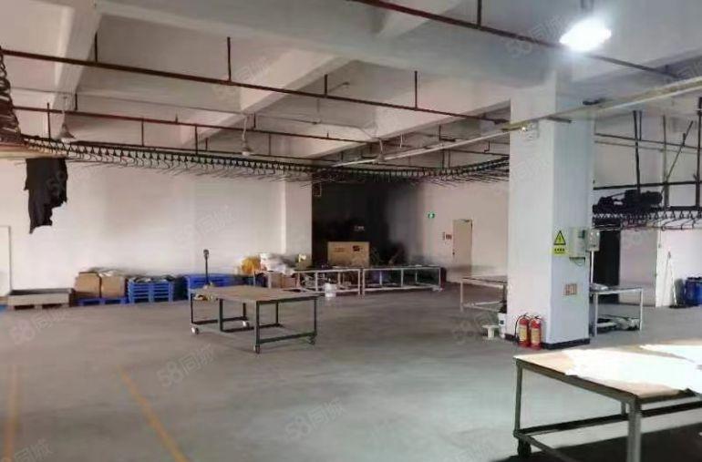 沙田厂房出租，一楼1100平方四楼2300平方