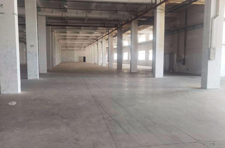 二楼比空地还便宜的厂房1300平方只要10块一平方，空地很大