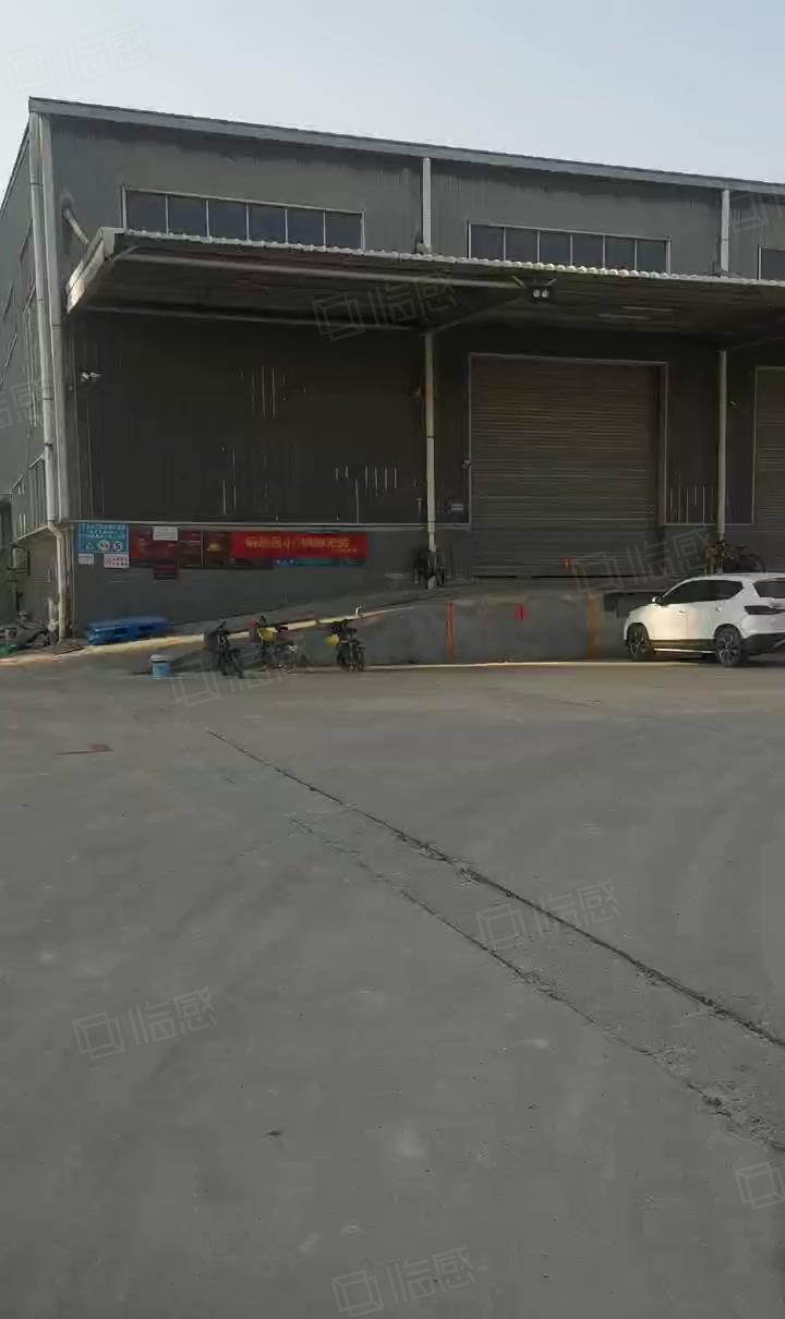 麻涌原房东5000平方高台单层仓库出租（可租2500平方）