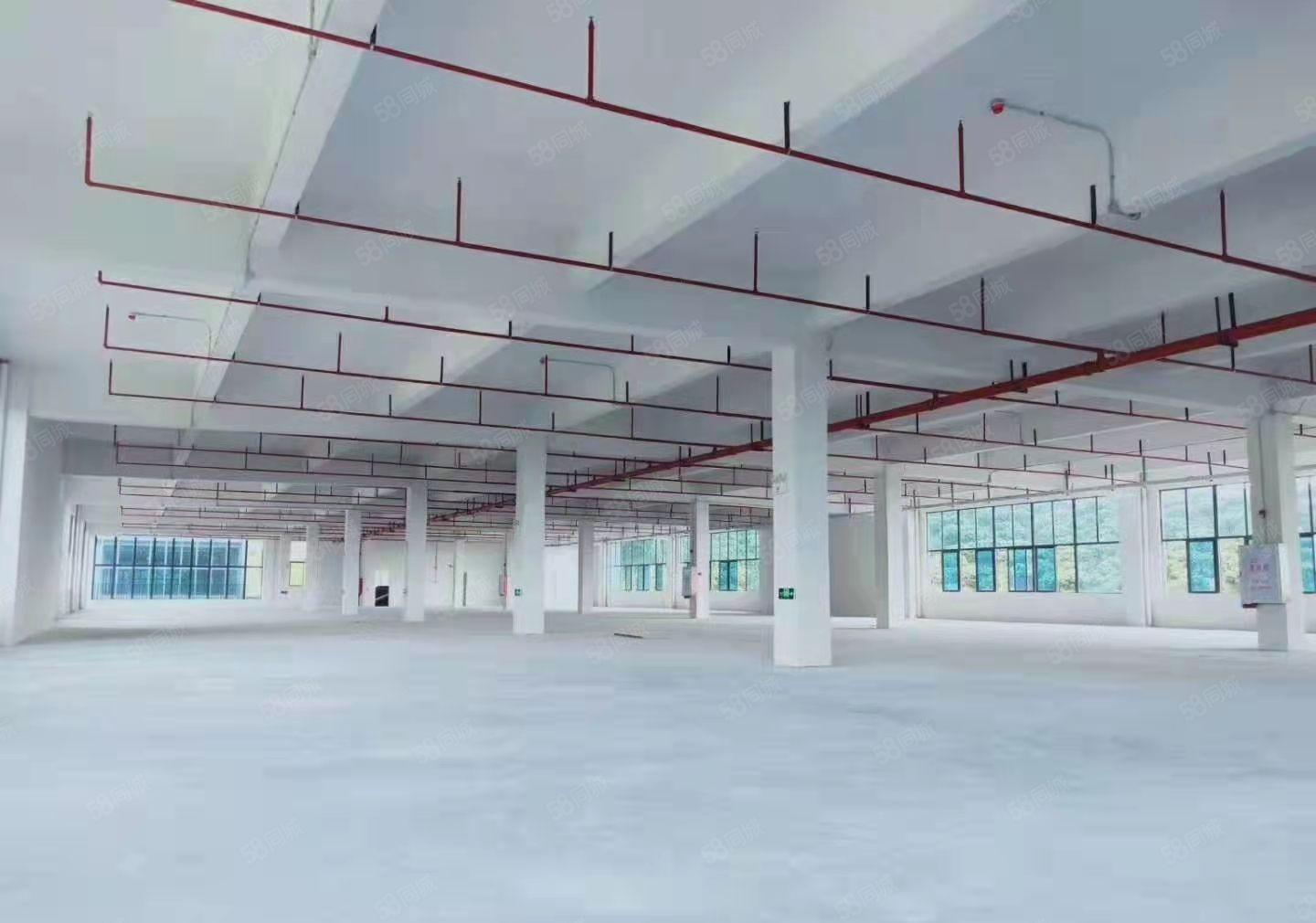 东莞麻涌高新智能电子产业园招商