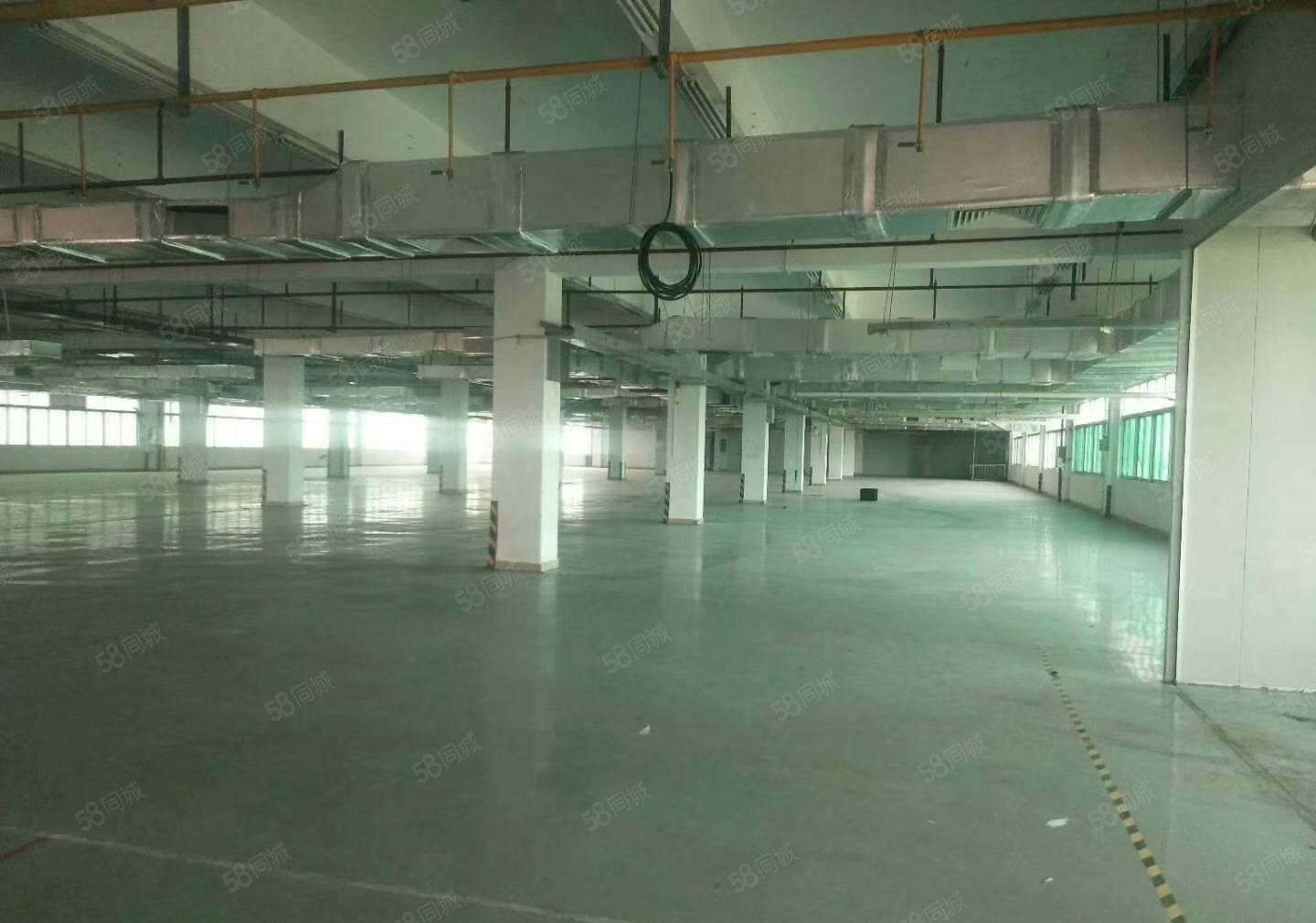 麻涌低价厂房出租可分租，一千平方以上随意分租