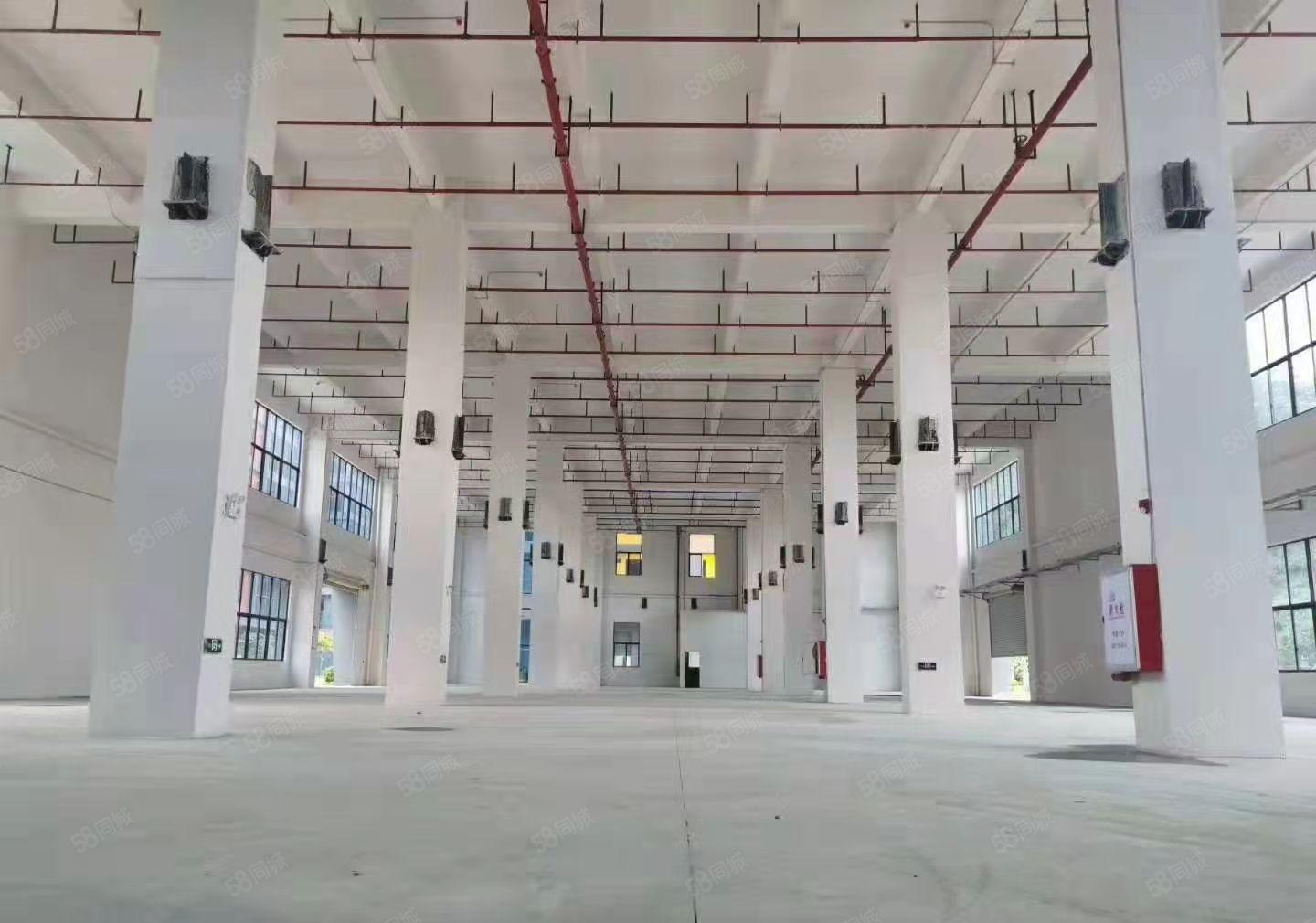 东莞麻涌高新智能电子产业园招商