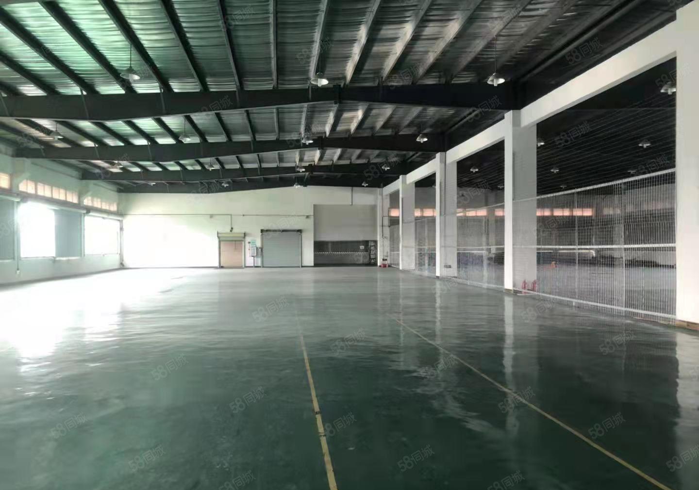 麻涌原房东出租，标准厂房5000平，已硬化空地10000平