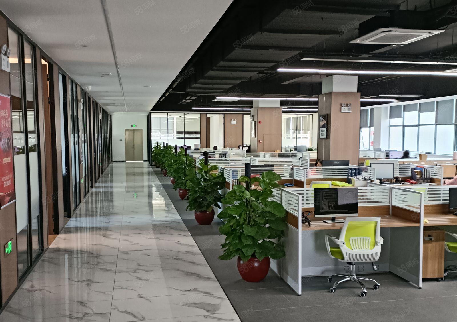 东莞麻涌高新智能电子产业园招商介绍