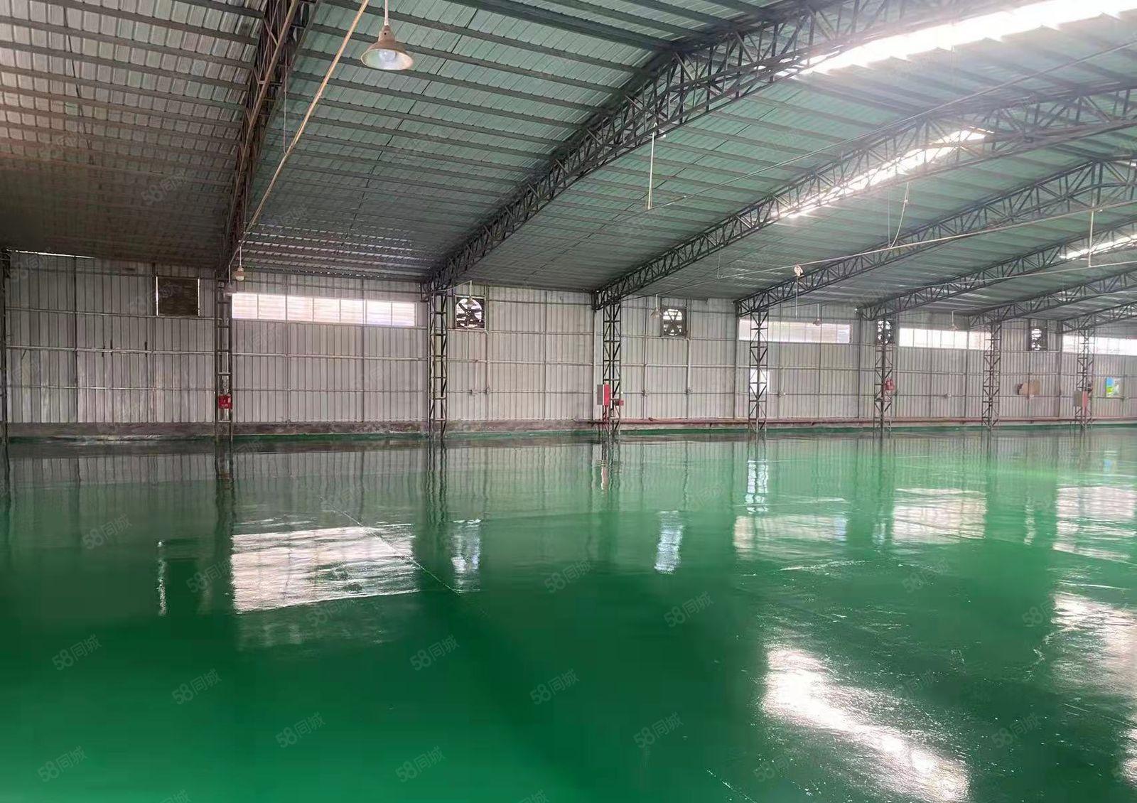 麻涌原房东小独院1000平方出租，小加工小仓库