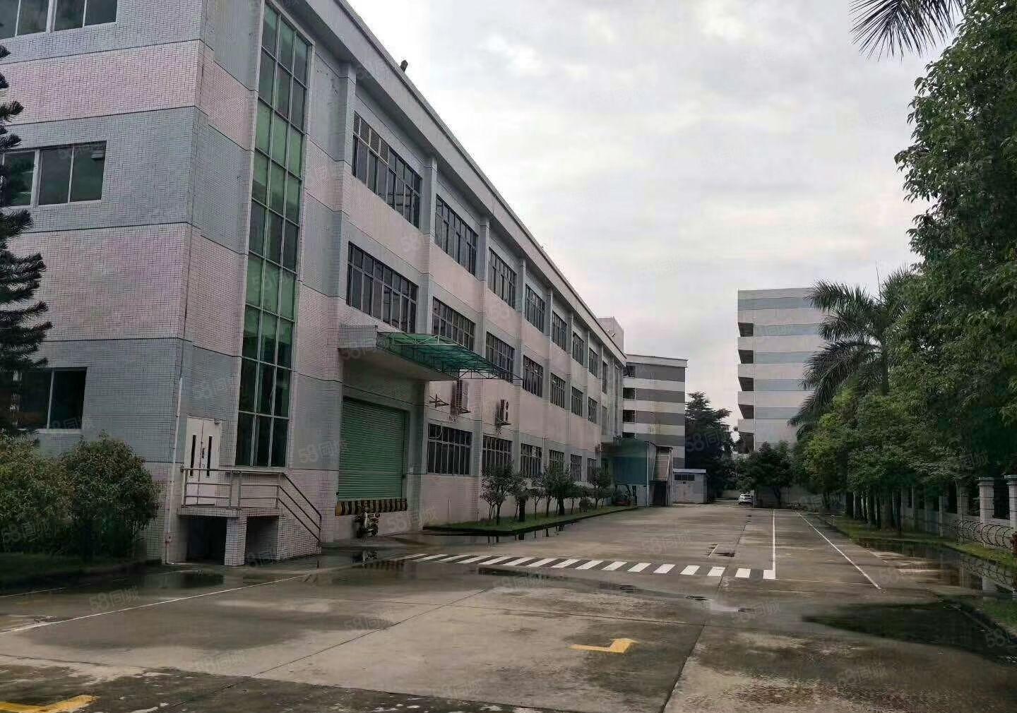 麻涌低价厂房出租可分租，一千平方以上随意分租