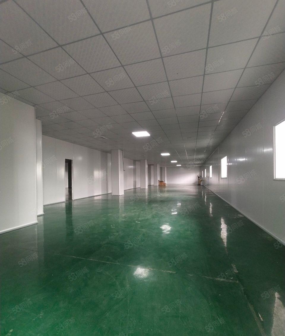 麻涌镇独院厂房仓库出租11000平红本厂房国有土地