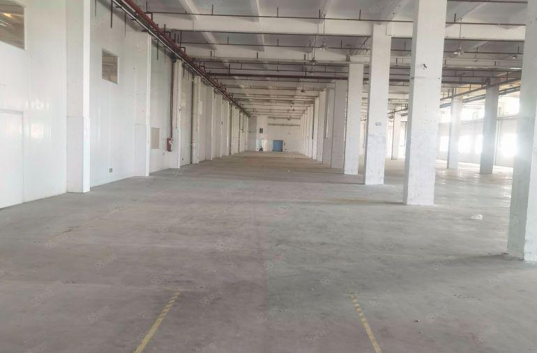 比空地还便宜的二楼厂房，实际出租承重1吨每平方，260平起租