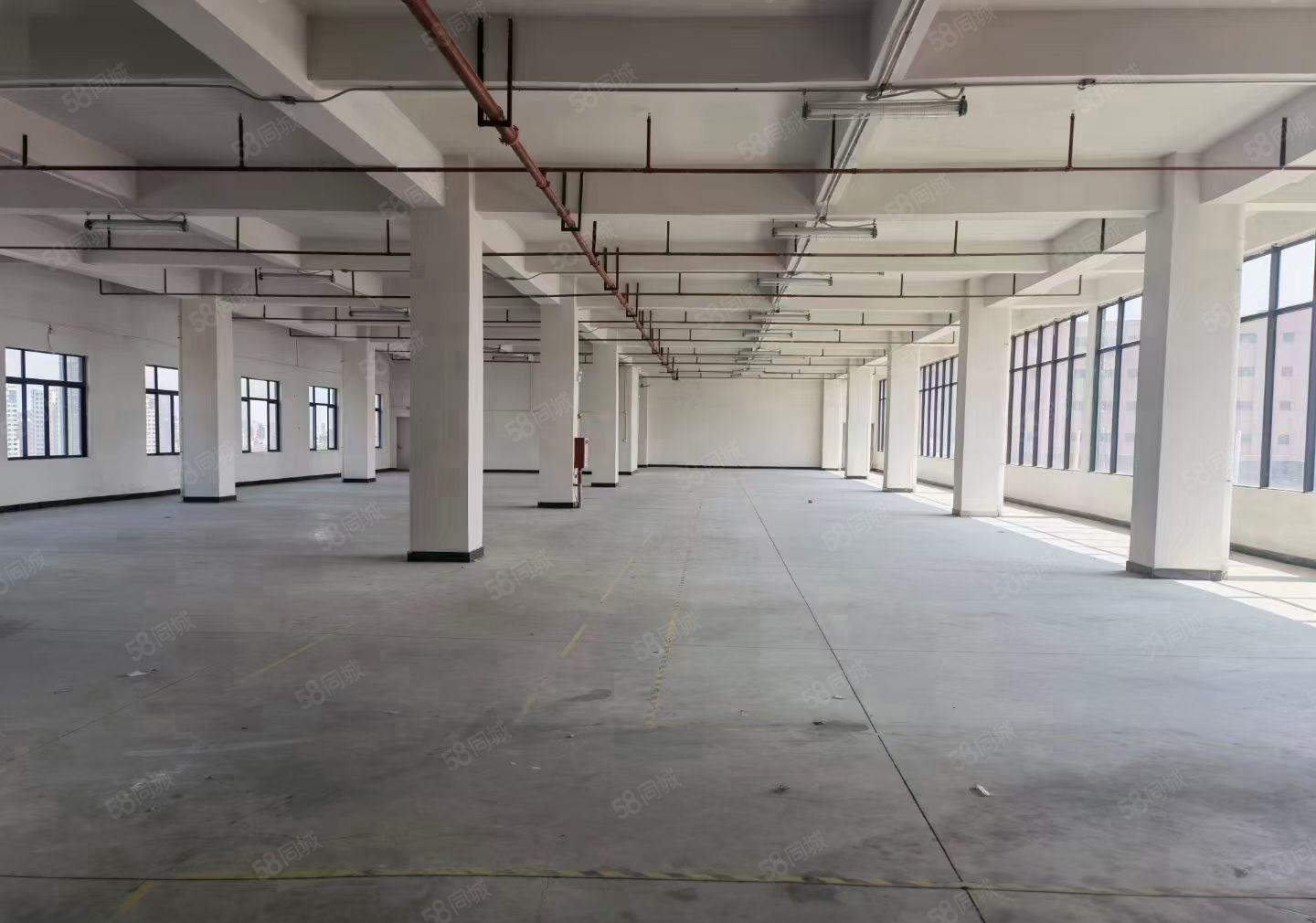 麻涌镇新出低价独院标准厂房出租面积可以分租靠近高速路口形象好