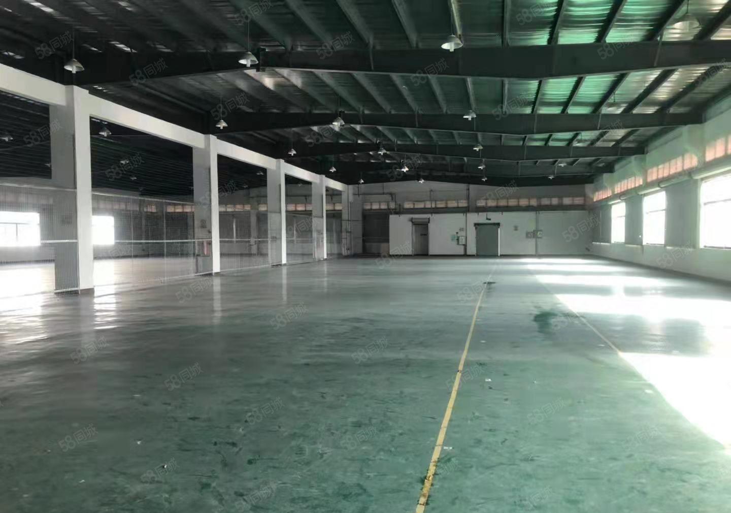 麻涌原房东出租，标准厂房5000平，已硬化空地10000平