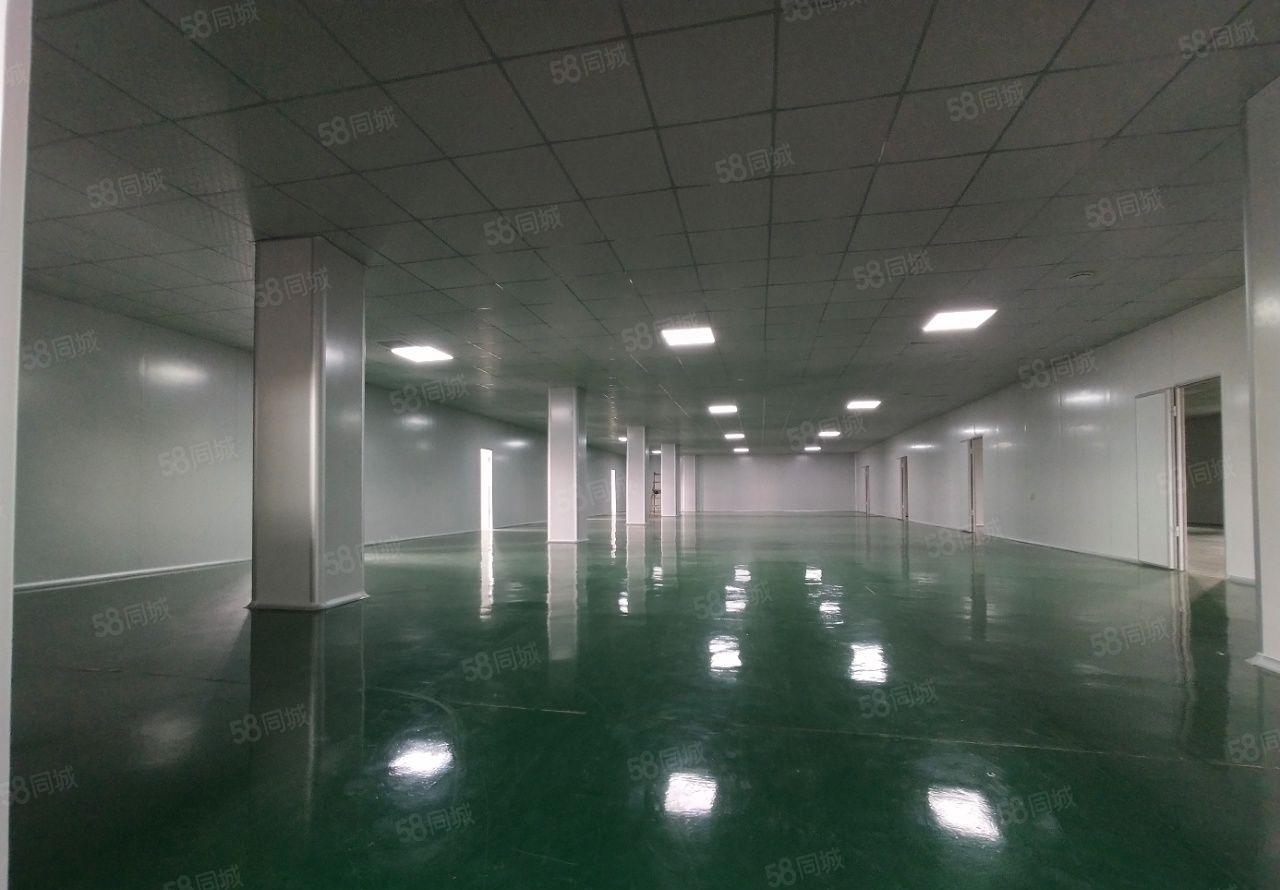 麻涌镇独院厂房仓库出租11000平红本厂房国有土地