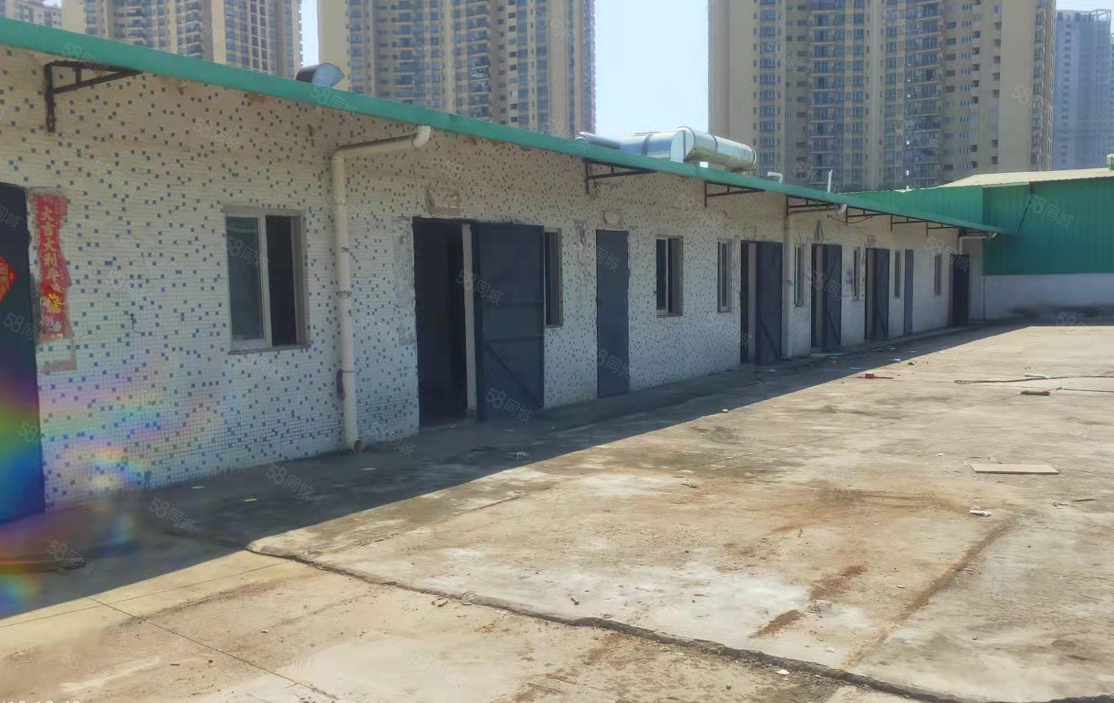 桥头镇新出个人面积单一层钢构厂房650平方，办公宿舍水电齐全