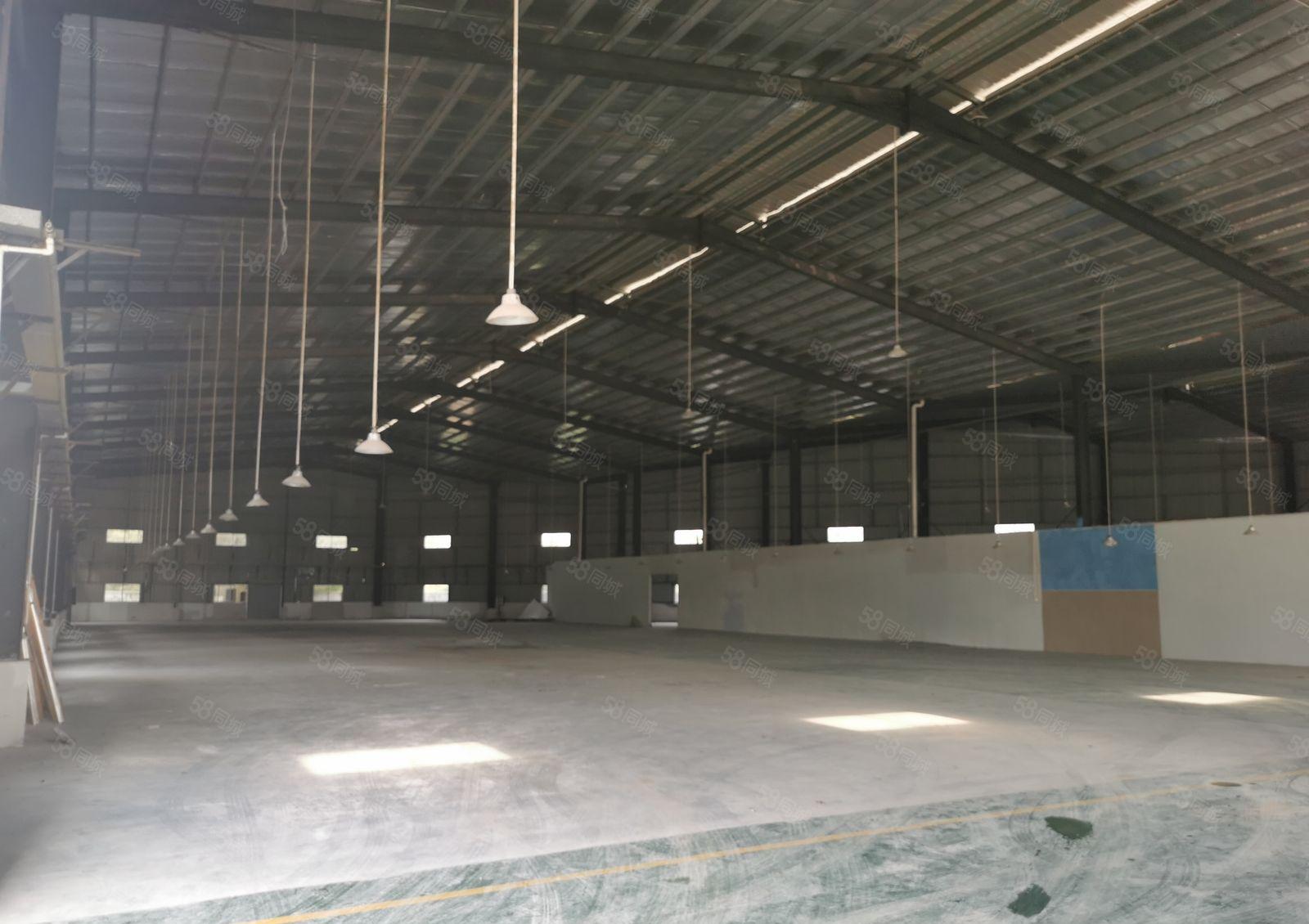 桥头镇单一层独院厂房出租滴水9米现成办公室周边无居民