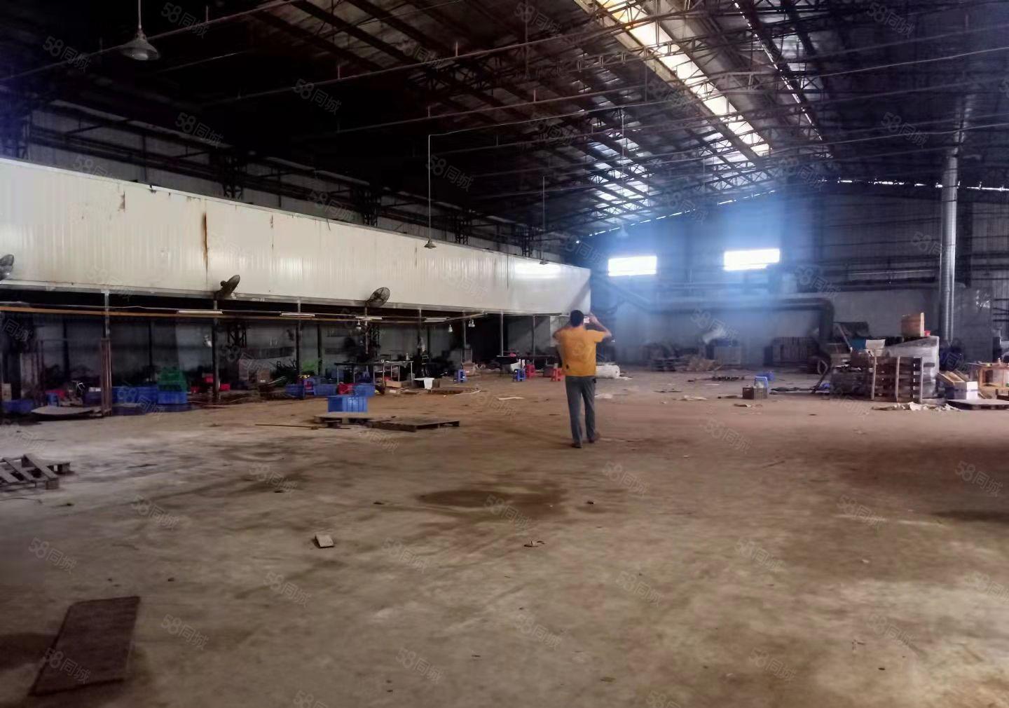 桥头镇个人原房东独门独院红本钢构300起分可办环评空地超大