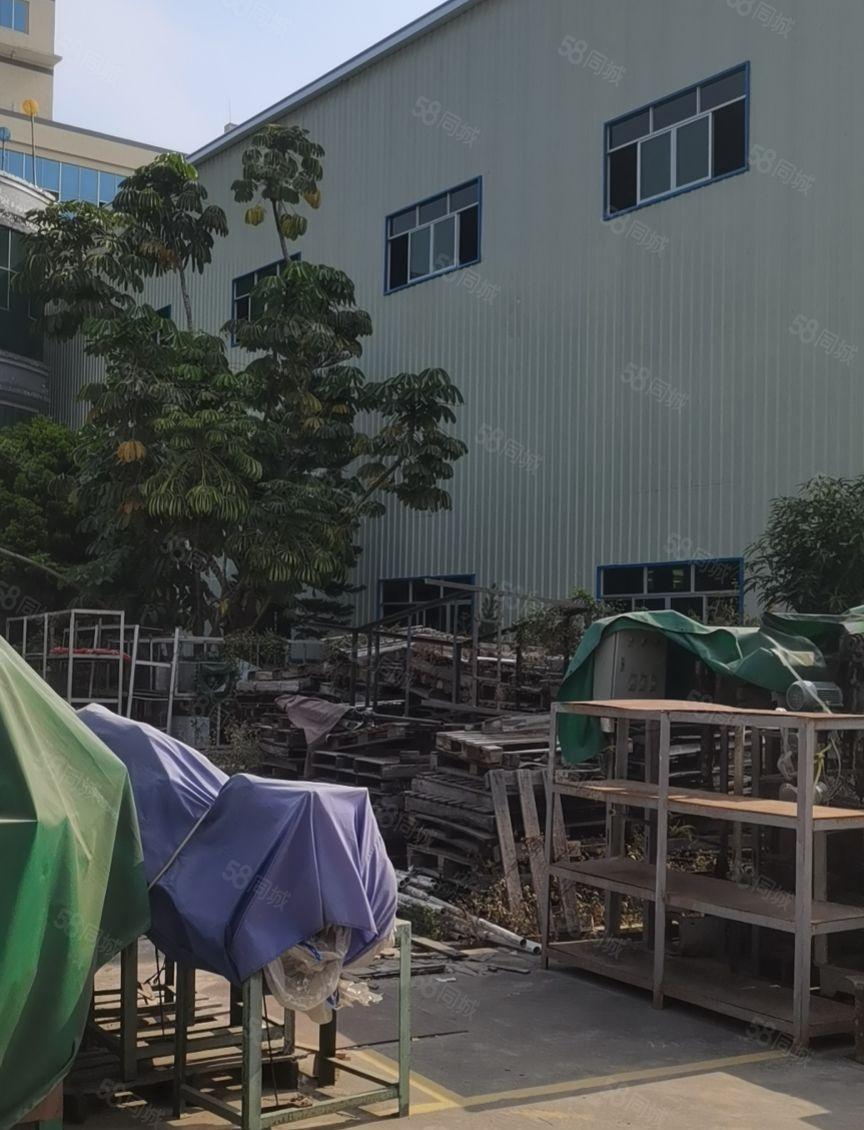 东莞桥头新建钢构独栋带牛角主干道旁花园式现成装修办公室