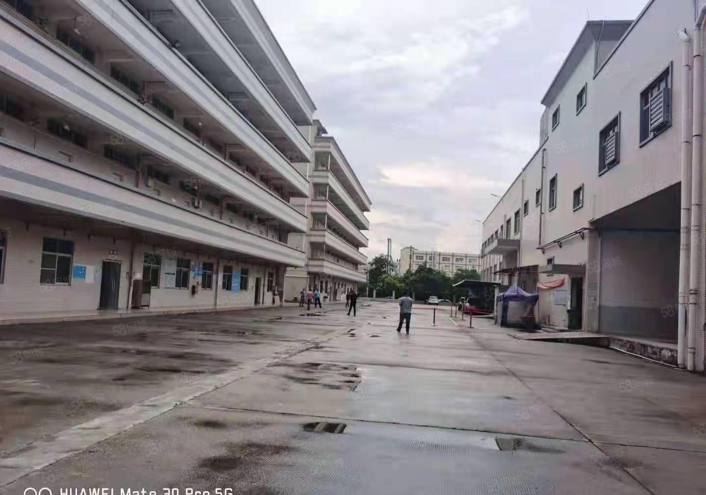 上市公司厂房总面积38000平米桥头镇新出红本国土双证