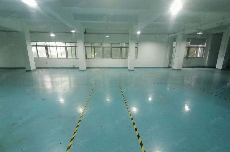 8元价格可谈原房东桥头企石1000平方精装修厂房出租可分租