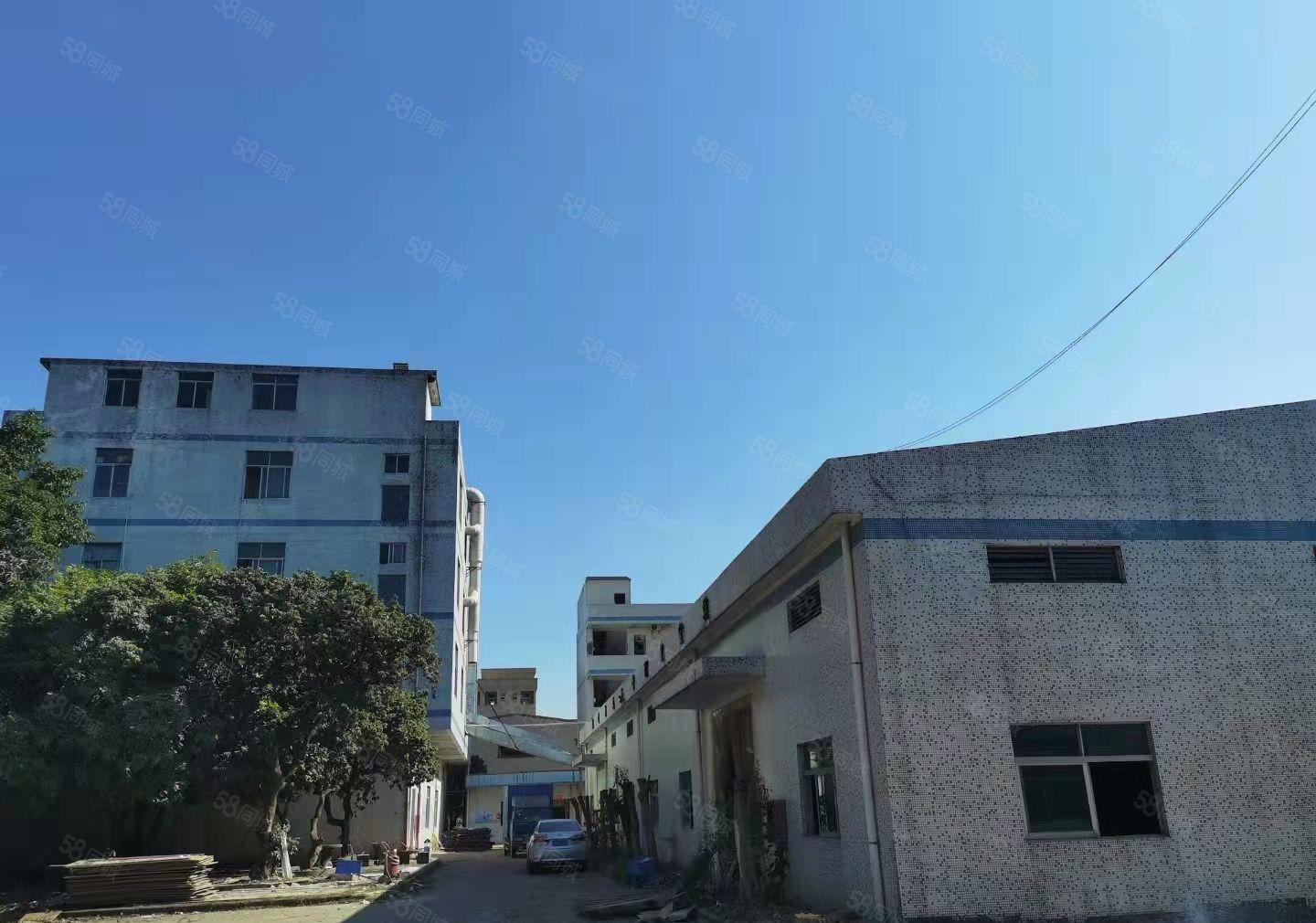 东莞桥头砖墙到顶单一层带牛角钢构空地2000平主干道旁