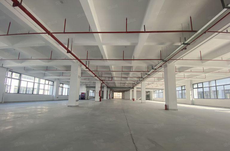 桥头东太湖莞龙高速路口原房东实际面积出租 9 元 配套齐全