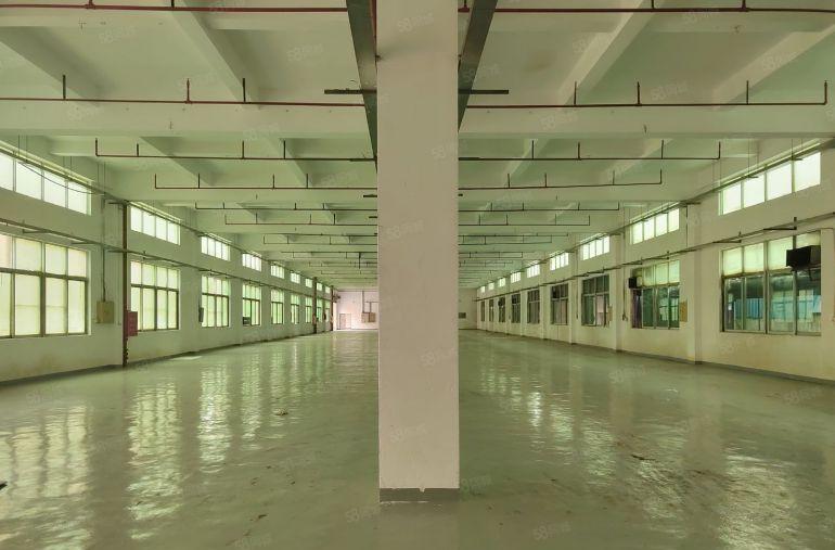 桥头镇大洲村 原房东标准独院13800平厂房出租 带装修办公