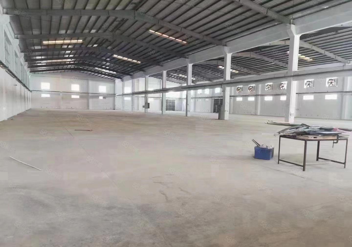 仓库福音，桥头原房东独院7000平钢构，空地5000平，