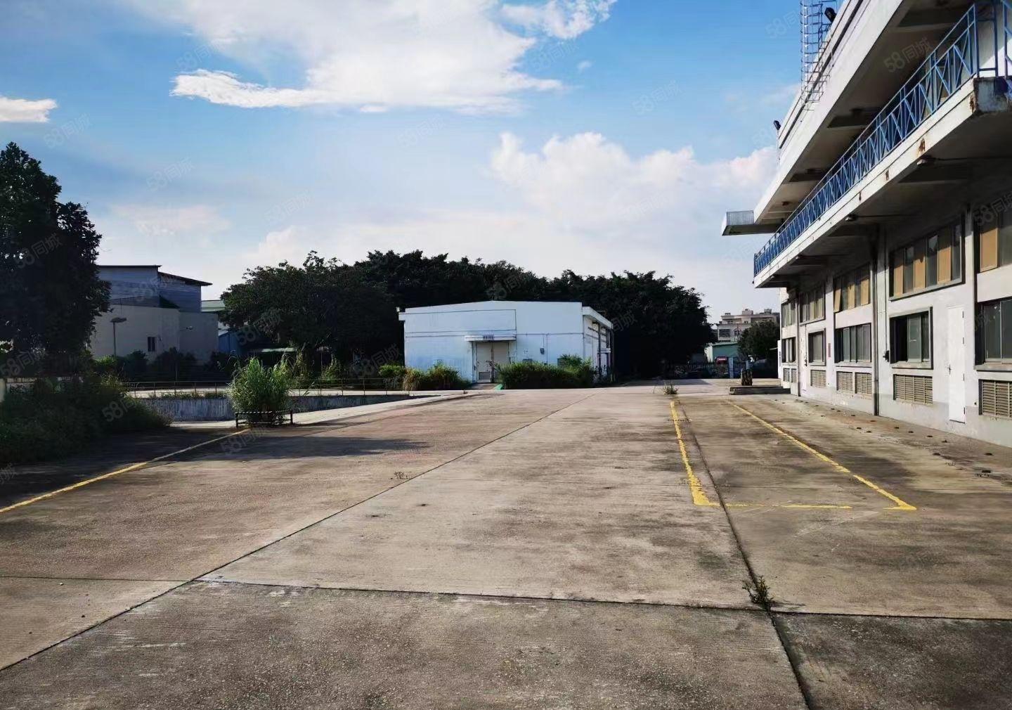 桥头镇新出个人小面积单一层厂房1000平方国道附近，交通便利