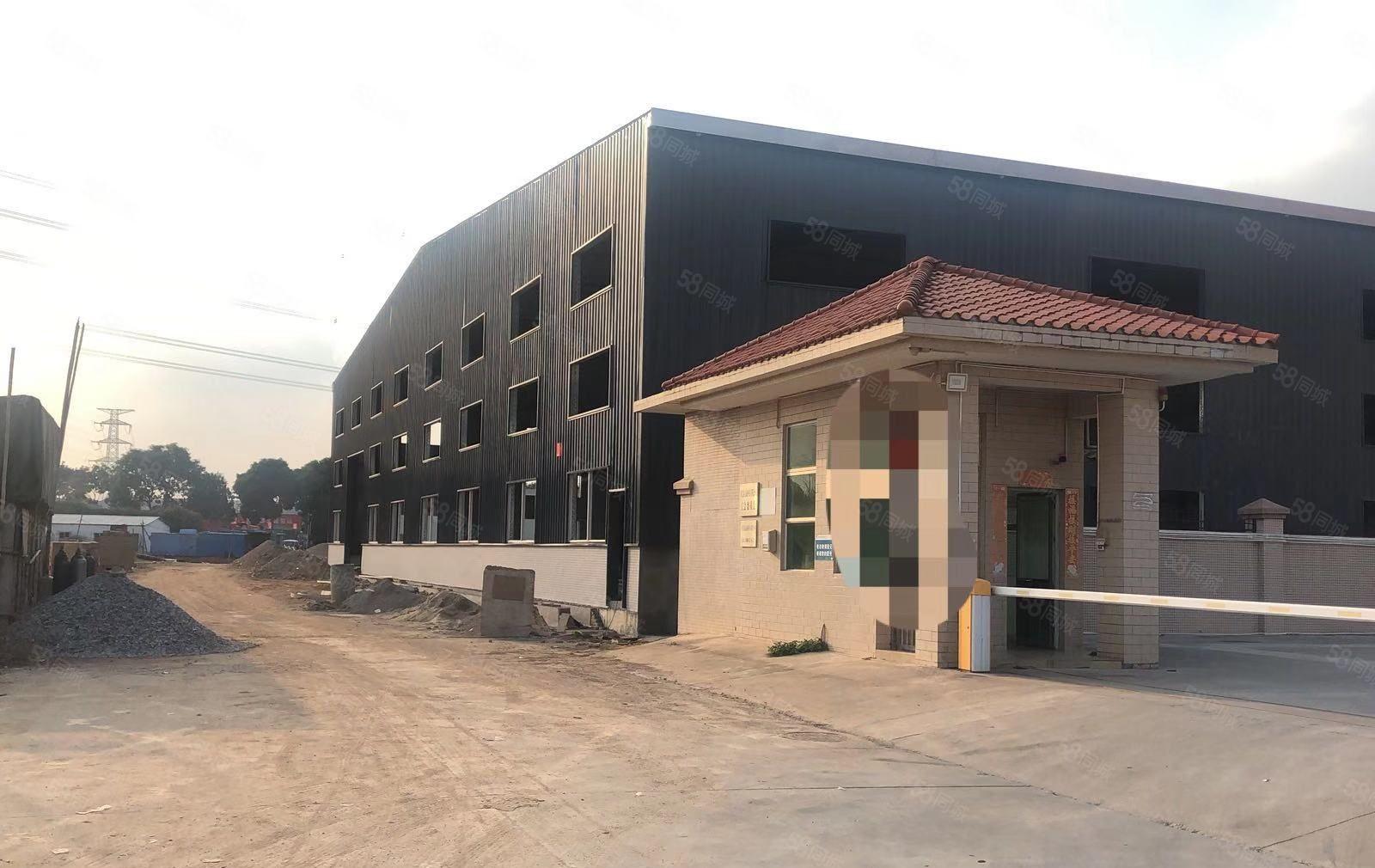 原房东单一层钢构3150平方，滴水7米