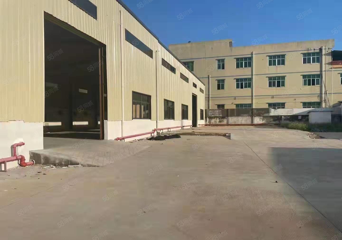 新出独院单一层钢构2200平方低价出租，滴水8米临近高速