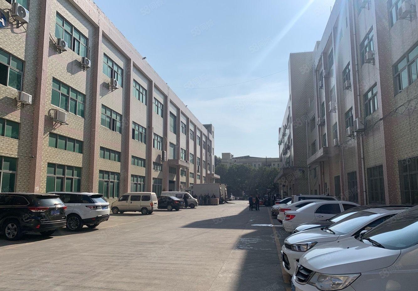 桥头大洲新出原房东标准一楼1800平方6米高带牛角大小可以分