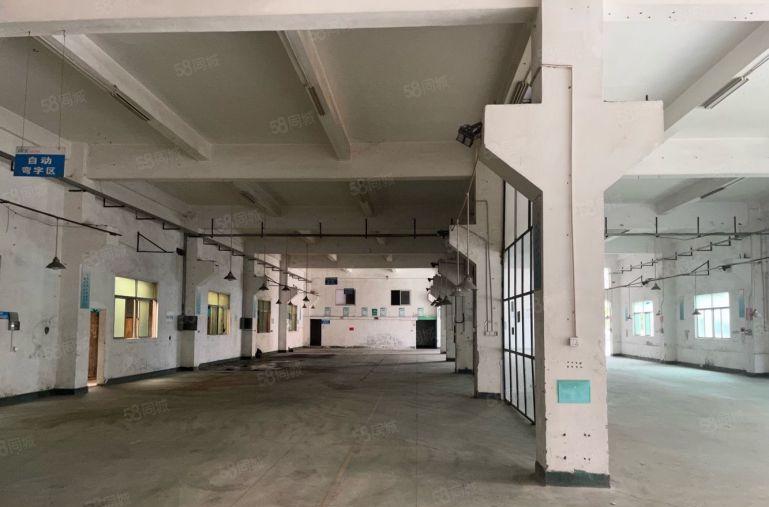 桥头大洲原房东标准独门独院7500平方带现在装修地坪漆