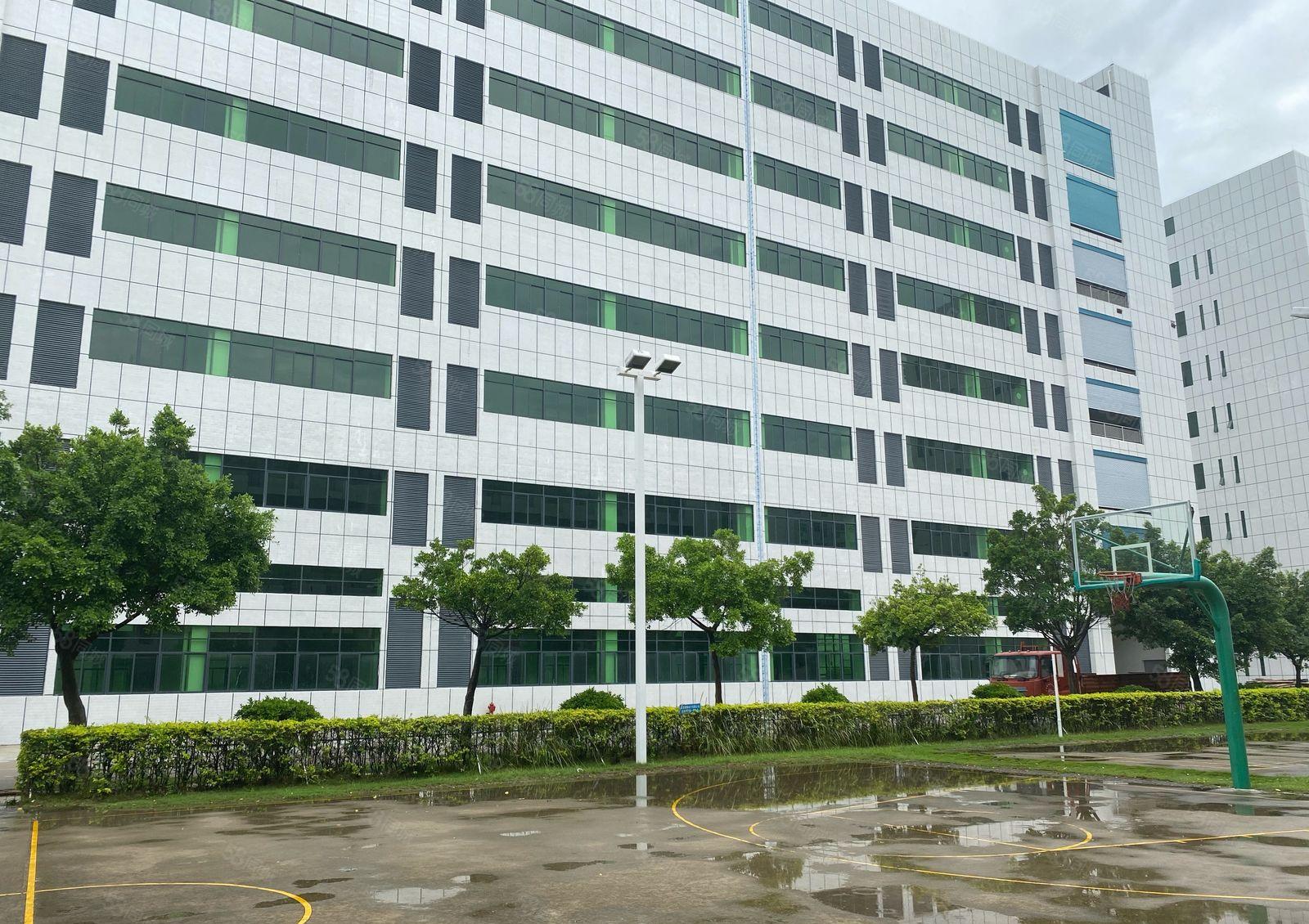 桥头镇邓屋村新出精装原房东分租二楼2000平方米