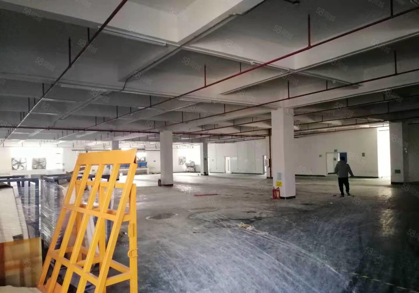 原房东，园区标准厂房9850平，空地大，大车进出方便