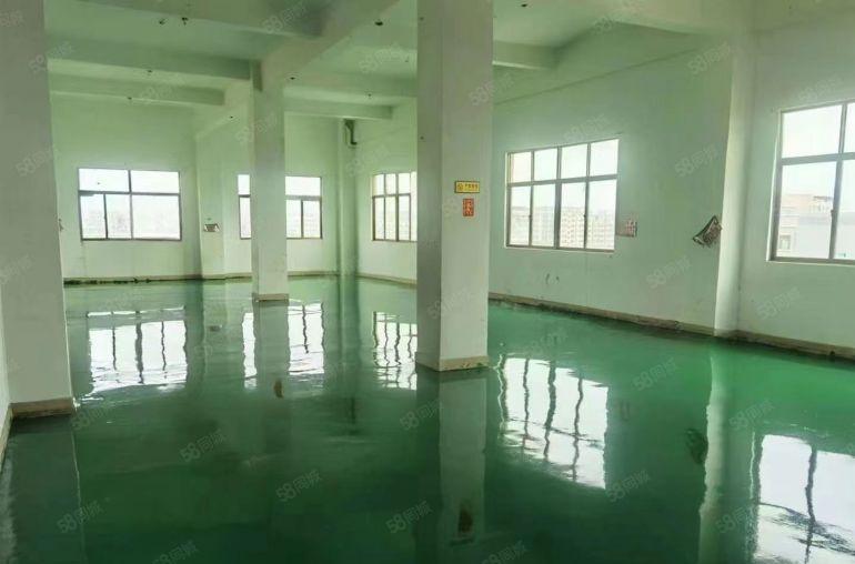 东莞桥头原房东新租厂房4000平方，价格实惠