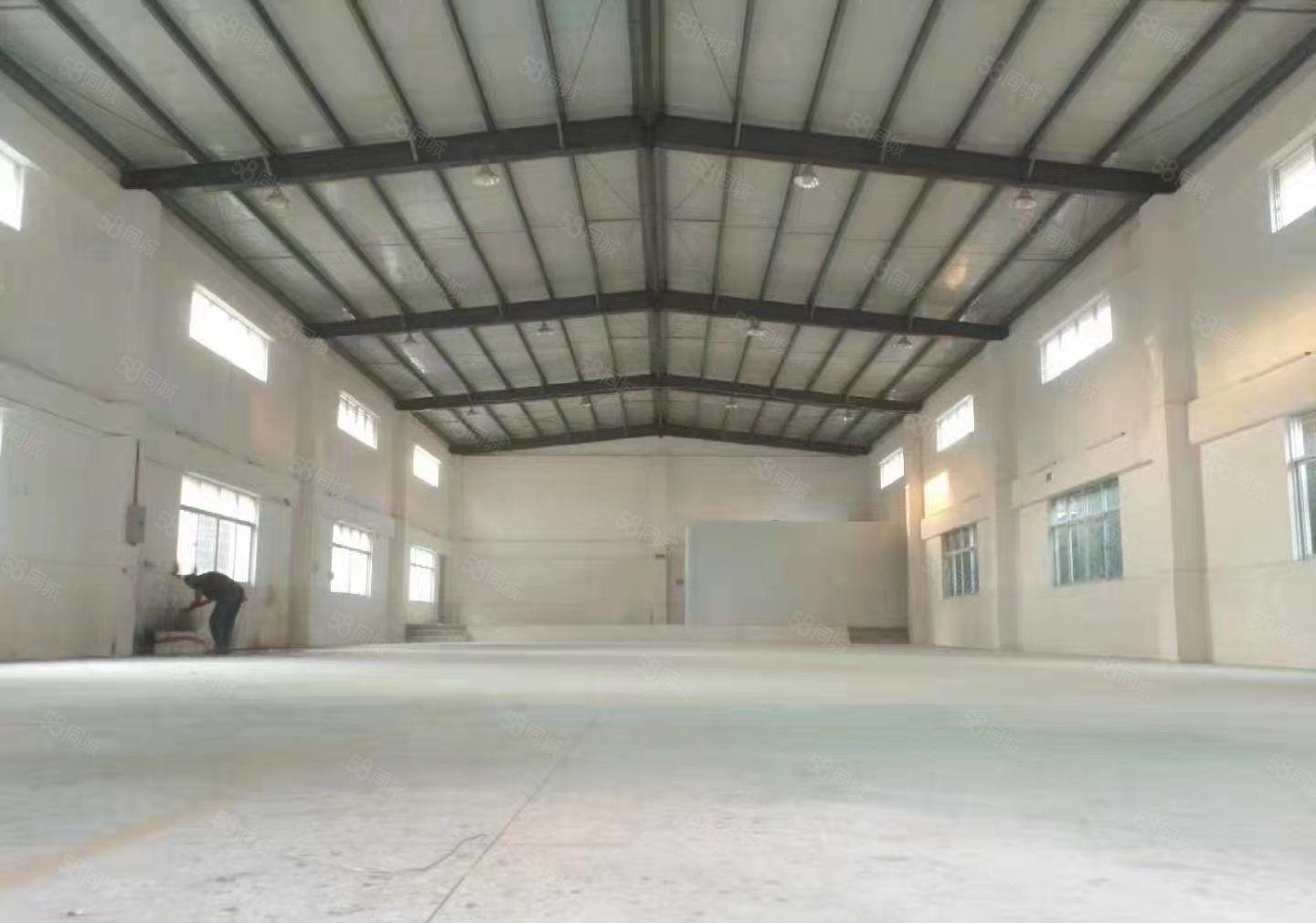 桥头镇新出个人原房东钢构单一层滴水7米小面积厂房900平