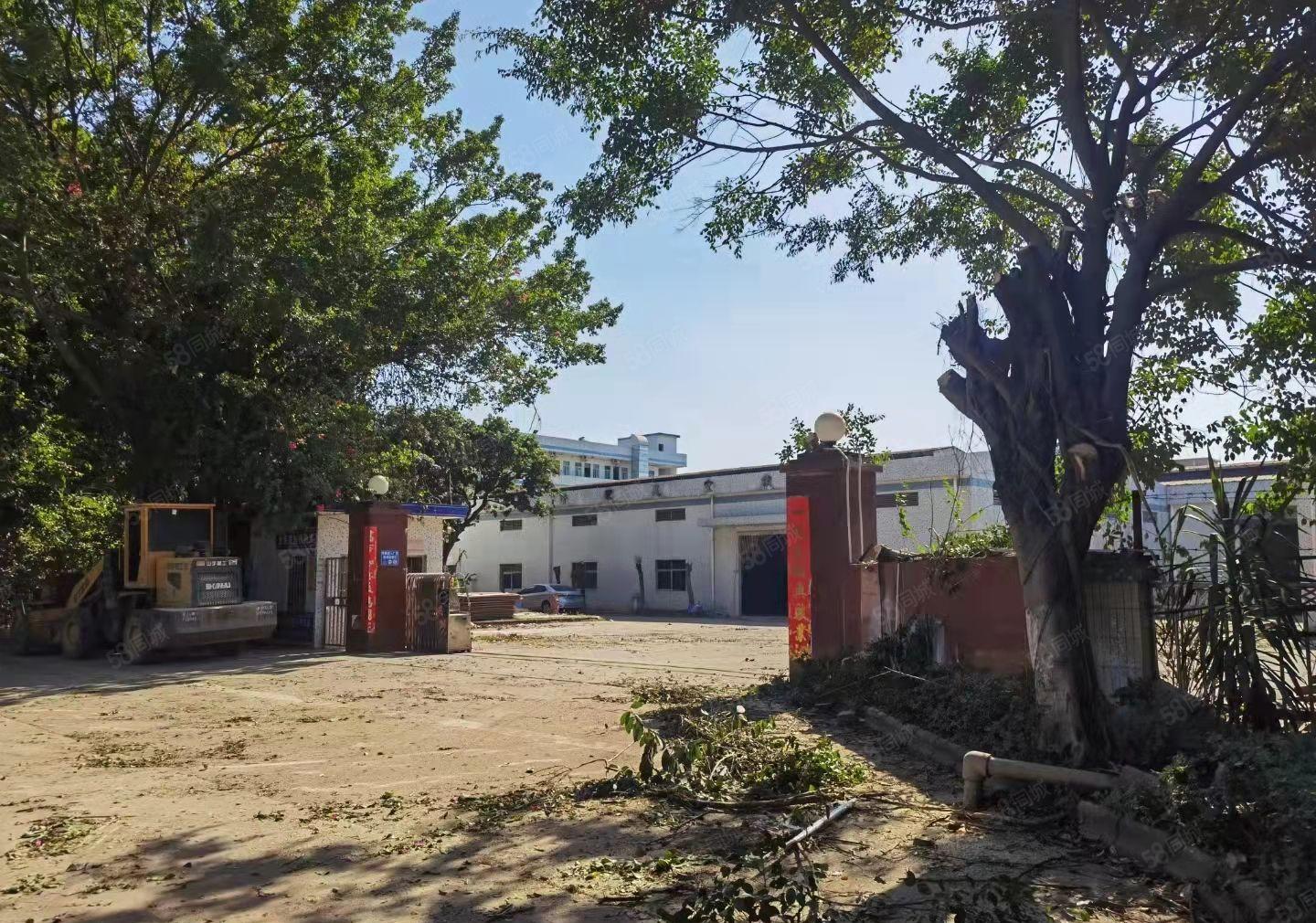 东莞桥头砖墙到顶单一层带牛角钢构空地2000平主干道旁