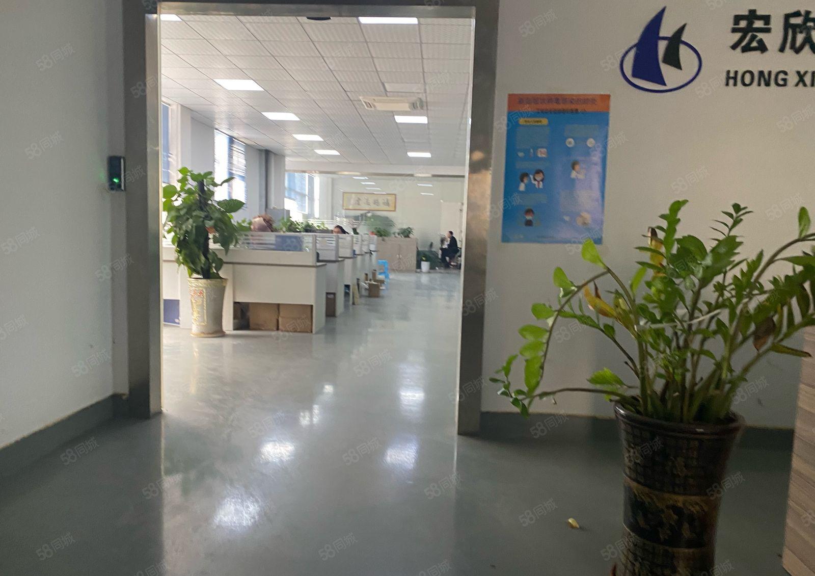 桥头新出2000平原房东厂房出租1000平起租，形象好空地大