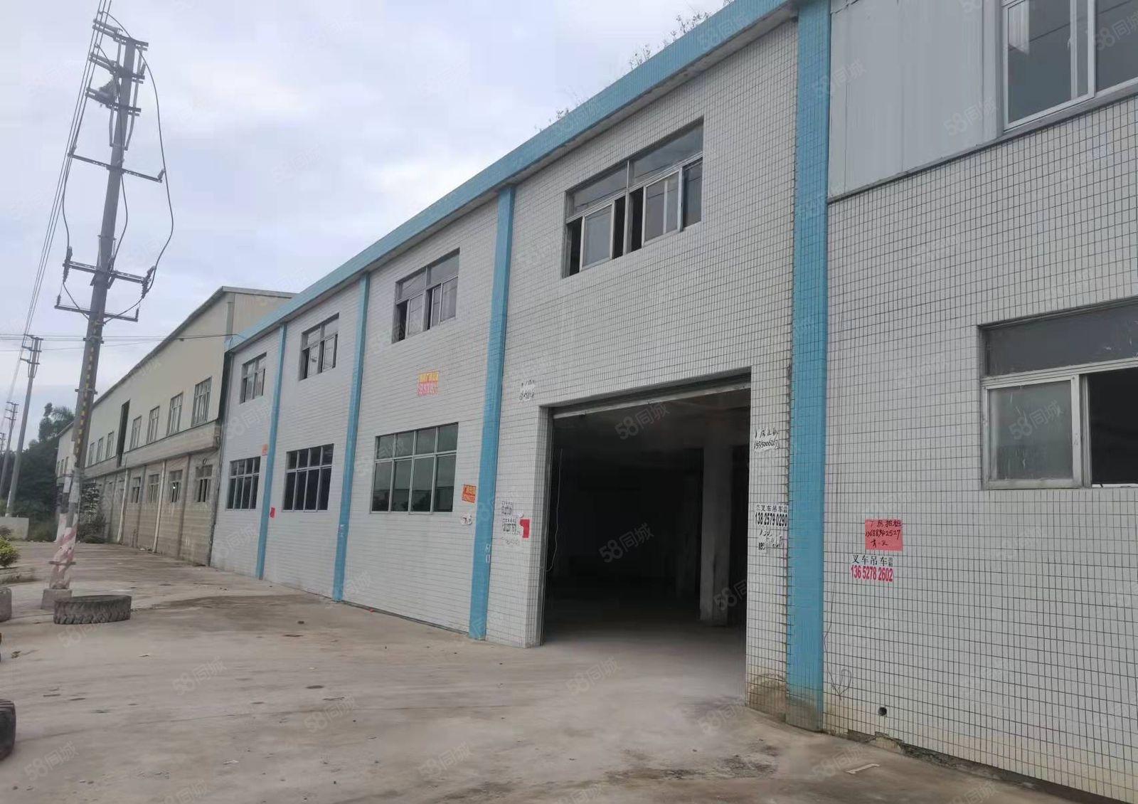 标准厂房一楼带装修，水电齐全