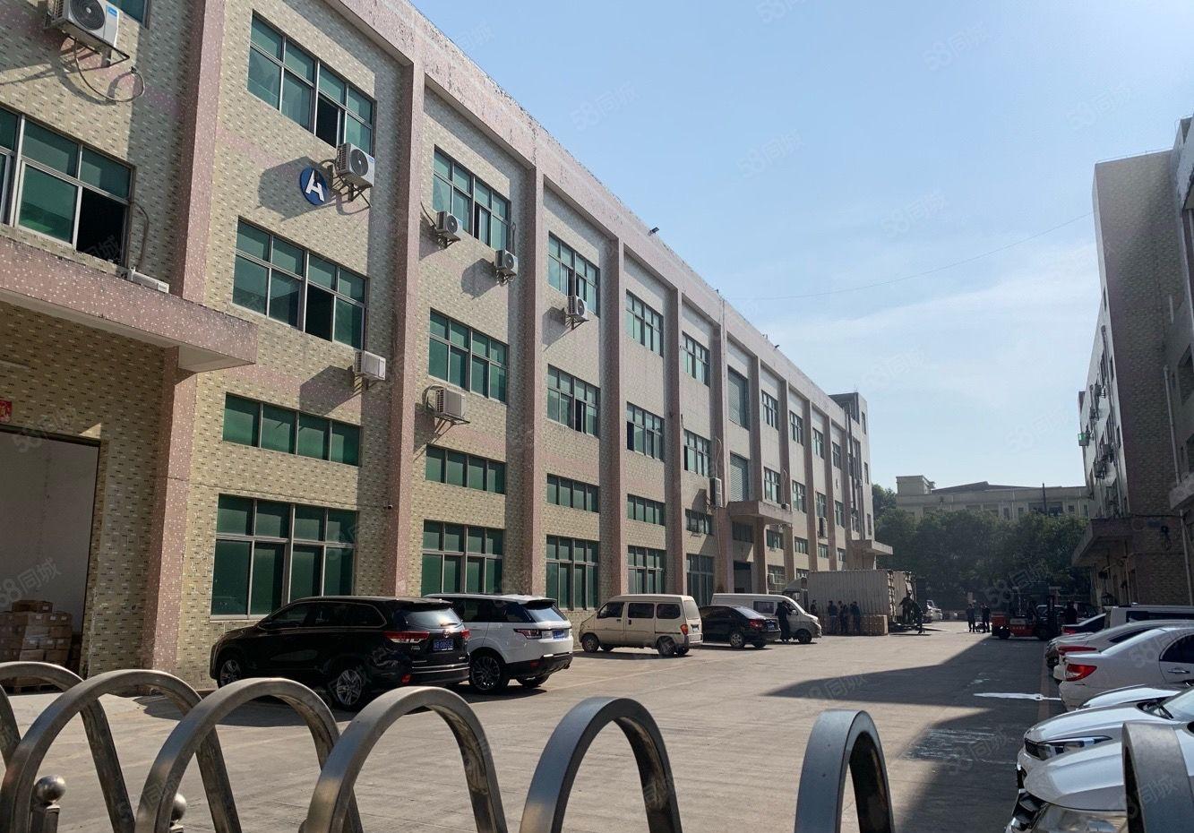 桥头大洲新出原房东标准一楼1800平方6米高带牛角大小可以分