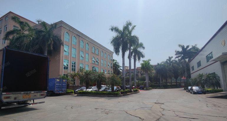 桥头东江新出独栋钢结构厂房3800平方滴水9米低价出租