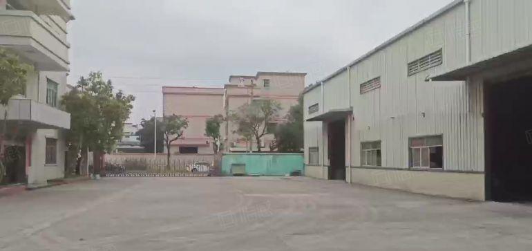 五金冲压注塑机械桥头靠近常平钢构厂房1000平方 滴水8米