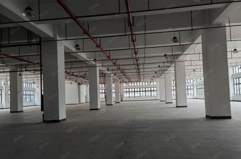 桥头镇原房东标准厂房出租58000可隔2个独院急租！可分租