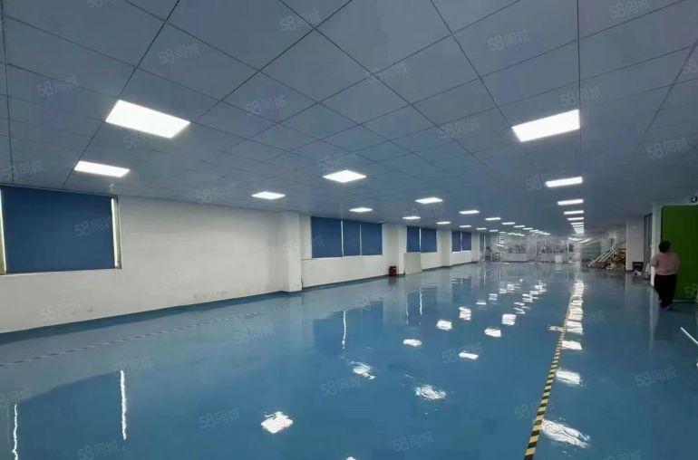 9元价格可谈桥头原房东独院厂房1000平精装修无尘车间可分租